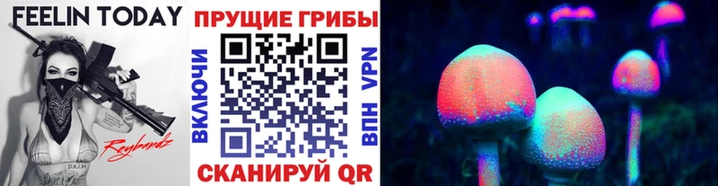 Галлюциногенные грибы Psilocybine cubensis  купить наркотики цена  Бугульма 